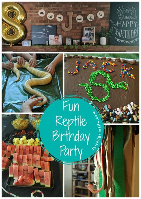 Reptile fans will love this fun reptile birthday party! A cool DIY snake cake, a reptile obstacle course that led to a den of (stuffed snakes), and a hands-on snake and lizard experience were a few of the highlights from the party. 10th Birthday Food Ideas, Reptile Birthday Cake, Reptile Party Ideas, Lizard Party, Reptile Birthday Party, Snake Cake, Wild Kratts Birthday Party, Diy Snake, Snake Cakes