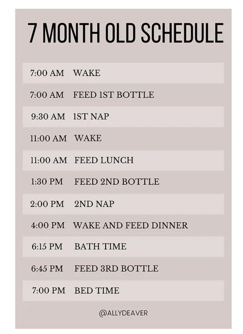 7 Month Nap Schedule, 7month Old Schedule, Schedule For 7 Month Old Baby, 7 Month Old Routine, 7 Month Sleep Schedule, 7-8 Month Old Schedule, 6 Month Blw Schedule, 7 Month Old Eating Schedule, 7 Month Eating Schedule