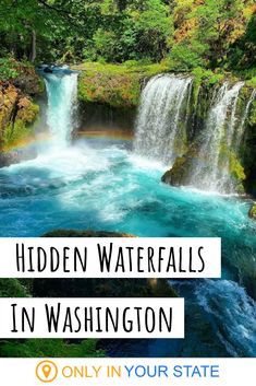 Want to hear a secret? There's an incredibly beautiful waterfall hidden in Washington State. The trail is short, but occasionally steep. Still, it's worth it to see this gem. | Washington Hiking | Trails | Short Hikes | Waterfalls Hikes | Columbia River Gorge | Kayaking | Near Oregon Only In Your State Washington, Hidden Gems In Washington State, Waterfalls In Washington State, Waterfalls Washington State, Things To See In Washington State, Washington Hikes Pacific Northwest, Washington State Vacation Ideas, Hiking In Washington State, Pacific Northwest Trail