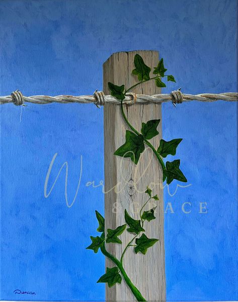 Twisted 1.  Acrylic painting on canvas. This painting is symbolic of the twisting of reality, words and minds in society. Oak Fence, Ivy Vine, Clear Blue Sky, Realistic Paintings, Fence Post, Barbed Wire, Acrylic On Canvas, Blue Sky, Ivy