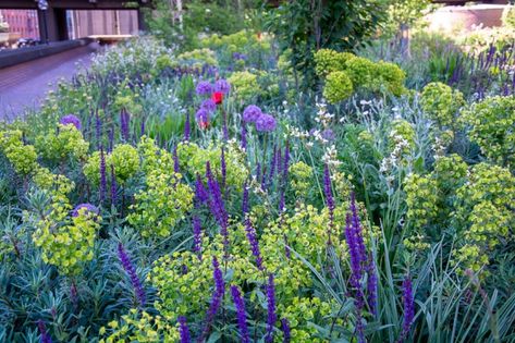 Matrix Planting, Sheffield University, Future Nature, Feed Your Mind, Time To Study, Planting Design, Planting Plan, Magnum Opus, English Design