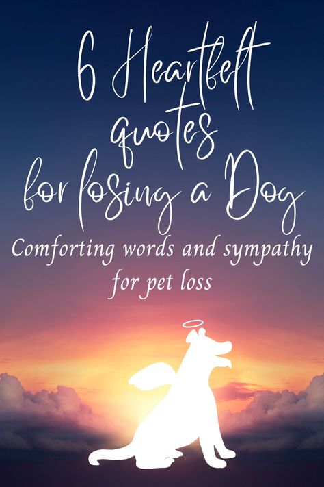 If you have experienced the pain of losing a beloved dog, these grief signs will comfort and console you during that difficult time. They are a perfect gift for someone mourning their dog crossing the rainbow bridge. Dog Rainbow Quotes, Losing A Pet Quote Dogs Memories, Losing A Dog Quote, Griefing Your Dog, Quotes For Losing A Dog, Loss Of Dog Sympathy, Loss Of A Pet Dog, Dog Died Quotes Sympathy, Dog Loss Captions