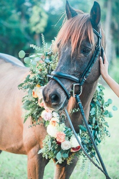 Horse Garland Wreath Horse Themed Wedding Ideas, Horse Farm Wedding, Horse Garland, Horses Flowers, Horse Wedding Photos, Horse's Neck, Horse Flowers, Beautiful Horses Photography, Horse Wedding