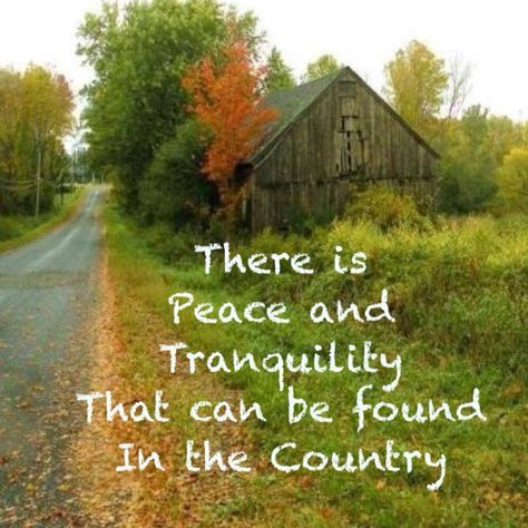 Motivational Country Living Quotes, Country Life Quotes, Barbie Quotes, Living Quotes, Peace And Tranquility, Everything Country, Good Quotes, Country Roads Take Me Home, Country Quotes