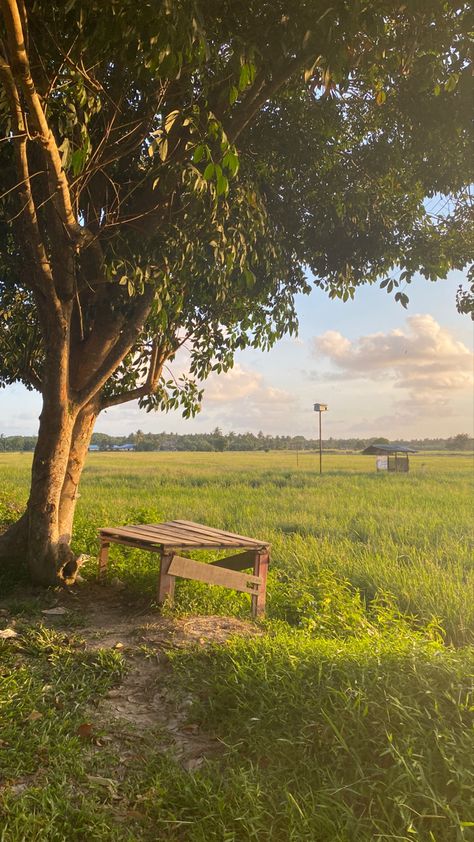 spent few hours at the paddy field in my hometown #studioghiblivibes Paddy Field Aesthetic, Philippines Countryside, Kubo Wallpaper, Paddy Field Photography, Indian Fields, Indian Village Photography, Village Life Photography, Province Aesthetic, Village Life Aesthetic