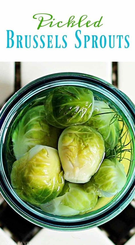 Pickled Brussels Sprouts Recipe Pickled Brussels Sprouts Recipe, Pickled Brussel Sprouts, Pickled Vegetables Recipe, Canning Pickles, Canning Vegetables, Pearl Onions, Sprouts Recipe, Homemade Pickles, Pickled Veggies