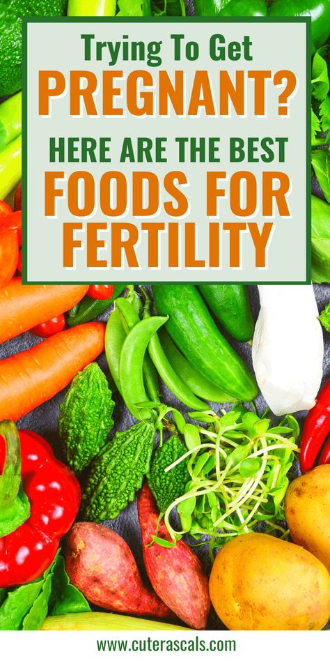 Foods For Fertility, Foods To Get Pregnant, Herbs For Fertility, Fertility Smoothie, Increase Fertility, Chances Of Pregnancy, Fertility Foods, Fertility Health, Fertility Diet