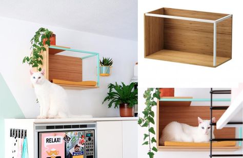 Floating cat shelves