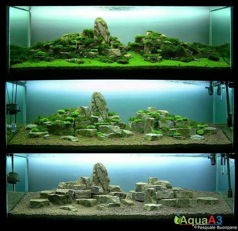 Aquarium Home Decor, Aquarium Home, Aquascape Design, Aquarium Terrarium, Shrimp Tank, Aquarium Landscape, Aquascape Aquarium, Underwater Art, Fish Aquarium