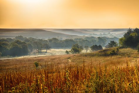 There's A Tiny Town In Kansas Completely Surrounded By Breathtaking Natural Beauty | Only In Your State Tallgrass Prairie National Preserve, Fall Foliage Road Trips, Tallgrass Prairie, Flint Hills, Kansas Usa, Fall Road Trip, Places In America, Beautiful Hikes, Cedar Point