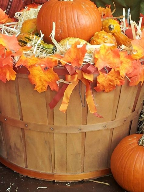 Bushel basket. I hot glued ribbon, fall leaves to it. Put a large bucket upside down inside, filled the rest with straw and added pumpkins and gourds Basket Of Pumpkins, Bushel Basket Ideas, Floating Candle Decorations, Fall Window Decorations, Diy Fall Decorations, Fall Candles Diy, Pumpkins And Gourds, Vintage Fall Decor, Bushel Baskets