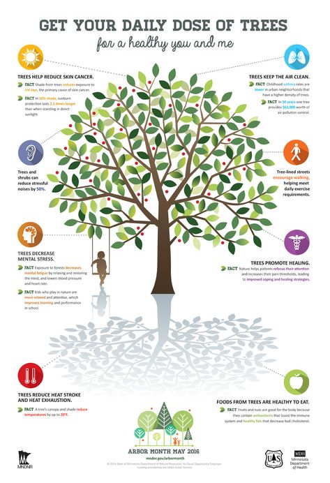 Arbor Month Celebration May 2016 Health Benefits of Trees Infographic Benefits Of Trees, Tree Facts, Infographic Poster, Arbour Day, Entertainment Center Decor, Health Lessons, Goals And Objectives, Kids Diet, Health Drink