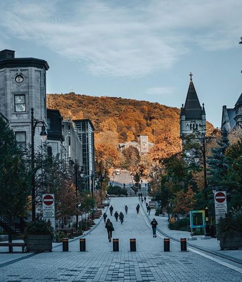 McGill University, Mont-Royal 📷 : lululemonmtl Montreal Aesthetic, Concordia University, Mcgill University, College Aesthetic, Dream School, University Life, Of Montreal, Quebec City, Academia Aesthetic