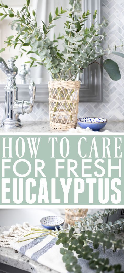 How to Care for Fresh Eucalyptus - The Creek Line House Eucalyptus Diy, Eucalyptus Centerpiece, Living Space Decor, Fresh Eucalyptus, Dried Eucalyptus, Eucalyptus Branches, Spring Centerpiece, Diy Jar Crafts, Plants Indoor