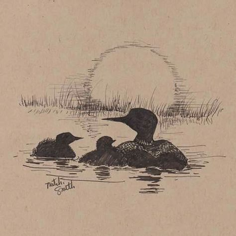 Loon Drawings, Chicks Illustration, Common Loon, Baby Illustration, Ink Pen, Wildlife Art, Learn To Draw, Pen And Ink, Cool Art