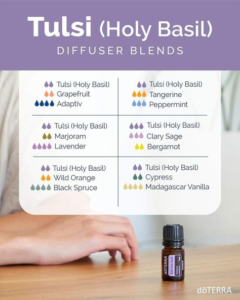 Holy Basil Essential Oil, Essential Oil Candle Recipes, Holistic Products, Essential Oil Roller Bottle Recipes, What Are Your Goals, Doterra Diffuser Blends, Basil Essential Oil, Essential Oil Combinations, Doterra Essential Oils Recipes