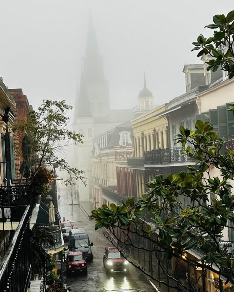 French Quarter New Orleans Aesthetic, Louisiana Gothic Aesthetic, French City Aesthetic, New Orleans Louisiana Aesthetic, Creole Aesthetic, New Orleans Gothic, Louisiana Gothic, New Orleans Aesthetic French Quarter, New Orleans Fall