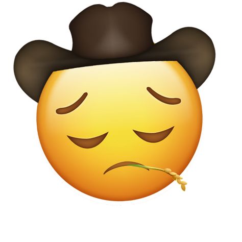 Buck up cowboy (emoji) Emoji Reaction Pics, Emoji Reaction, Romance Is A Bonus Book, The Lone Ranger, Emoji Stickers, Girl Meets World, Reaction Pics, Jong Suk, Tv Girls