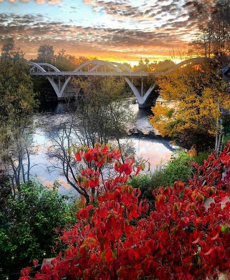 By Dee Dee Smith, at Grant's Pass, Oregon 10-25-19; vF Grants Pass Oregon, Oregon Life, Grants Pass, Southern Oregon, Dee Dee, Home Town, Where The Heart Is, My Home, Oregon