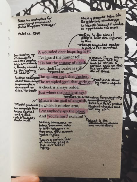 Annotated Poems Aesthetic, Annotating Poems Aesthetic, Annotated Poetry Books, Annotating Poems, Annotated Poetry, Poem Annotation, Emily Dickinson Aesthetic, Poetry Annotation, Emily Dickinson Book