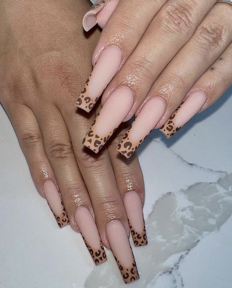 Panther Nails Designs, Jaguar Nails, Pantera Nails, Panther Nails, Leopard Print Nails Stiletto, Panthera Leo Spelaea, Panthera Spelaea, Nails