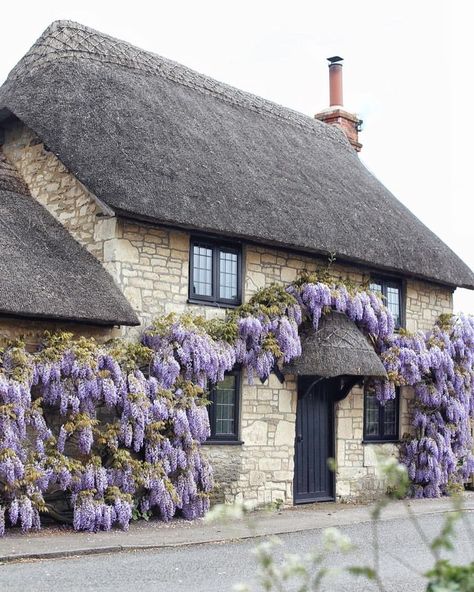 Wisteria Cottage British Cottage, Cute Cottages, Stone Cottages, Dorset England, Quaint Cottage, Country Cottage Decor, English Cottage Garden, Beautiful Cottages, Thatched Cottage