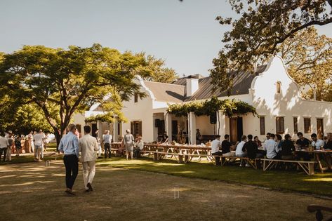 South Africa Wine, Field Of Lavender, South Africa Wedding, South African Weddings, Greenhouse Wedding, Guest Ranch, Tropical Beaches, Wine Wedding, West Village