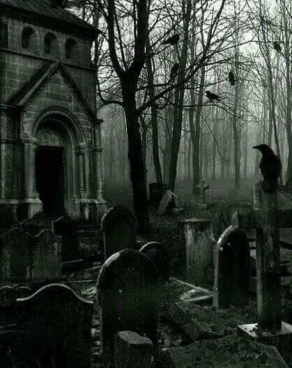 Gravestones Aesthetic, Dark Cemetary Aesthetic, Gothic Gravestone, Grave Aesthetic, Lying Aesthetic, Dark Graveyard, Gothic Aesthetic Dark, Dark Gothic Aesthetic, Gothic Graveyard