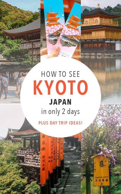 Kyoto Itinerary, Famous Food, Japan Destinations, Tokyo Japan Travel, Japan Itinerary, Kyoto Travel, Japan Travel Tips, Zip Line, Japan Travel Guide