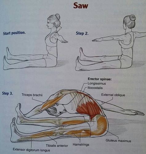 Pilates Anatomy, Pilates Lifestyle, Reflexology Techniques, Pilates Teacher Training, Pilates Poses, Muscle Stretches, Pilates Teacher, Yoga Anatomy, Pilates Training