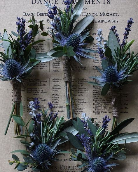 Thistle Flower Arrangement, Thistle Buttonhole, Thistle Wedding Flowers, Thistle Bouquet, Lilac Wedding Bouquet, Thistle Wedding, Buttonhole Flowers, Nordic Wedding, Blue Thistle