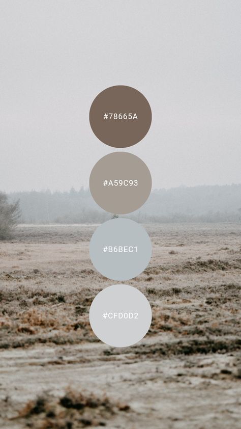 Warm Grey Color Palette, Blue Neutral Color Palette, Light Grey Color Palette, Cool Neutral Color Palette, Bedroom Paint Colors Grey, Taupe Color Palettes, Guest Room Colors, Light Browns, Light Grey Paint Colors