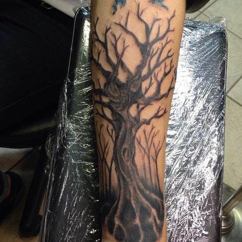 Dead Tree Poison Tree Tattoo Sleeve, Tree Sleeve Tattoo For Men, Poison Tree Tattoo Stencil, Leafless Tree Tattoo, Poison Tree Sleeve Tattoo, Poison Tree Hand Tattoo, Poison Tree Drawing, Halloween Tree Tattoo, Haunted Tree Tattoo