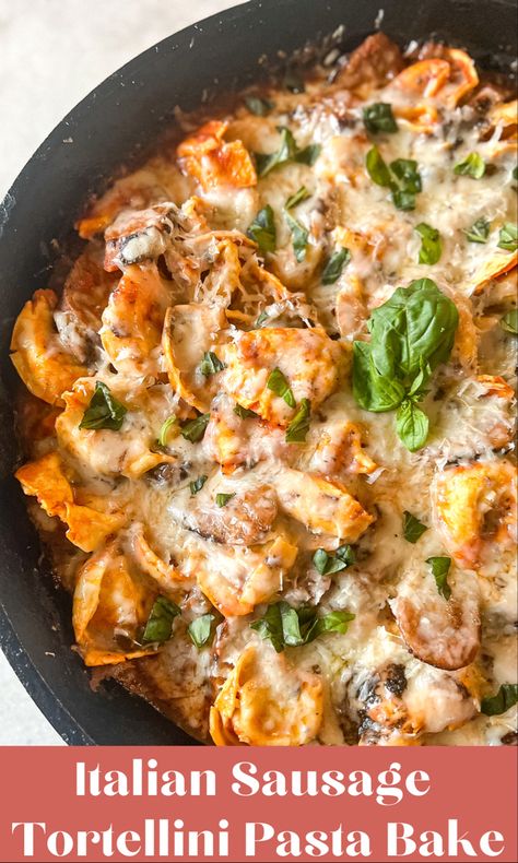 Italian Sausage and Tortellini Bake is tortellini pasta cooked to perfection with a hearty marinara sauce and Italian sausage. With a few simple ingredients, you will have dinner on the table in well under 30 minutes! #easydinner #30minutemeals #italiansausagerecipes #pastafoodrecipes #pastarecipe #weeknightdinner Baked Cheese Tortellini, Baked Italian Sausage, Sausage And Tortellini, Sausage Pasta Sauce, Turkey Sausage Recipes, Red Sauce Recipe, Sausage Marinara, Homemade Marinara Sauce, Marinara Recipe