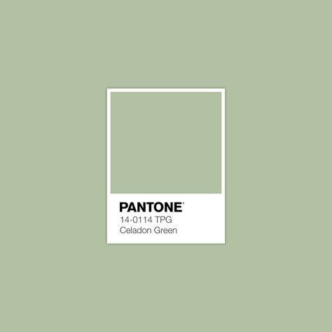 Celadon Green: February 4, 2017 Pantone Green, Best Wedding Colors, Pantone Palette, Pantone Colour Palettes, Spring Color Palette, Celadon Green, Sage Color, Colour Board, Colour Schemes