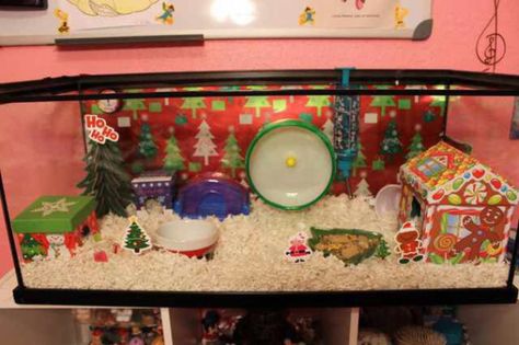 Hamster Christmas Diy, Christmas Hamster Cage, Hamster Tank, Hamster Christmas, Hamster Diy Cage, Christmas Hamster, Hedgehog Cage, Mouse Cage, Hamster Diy