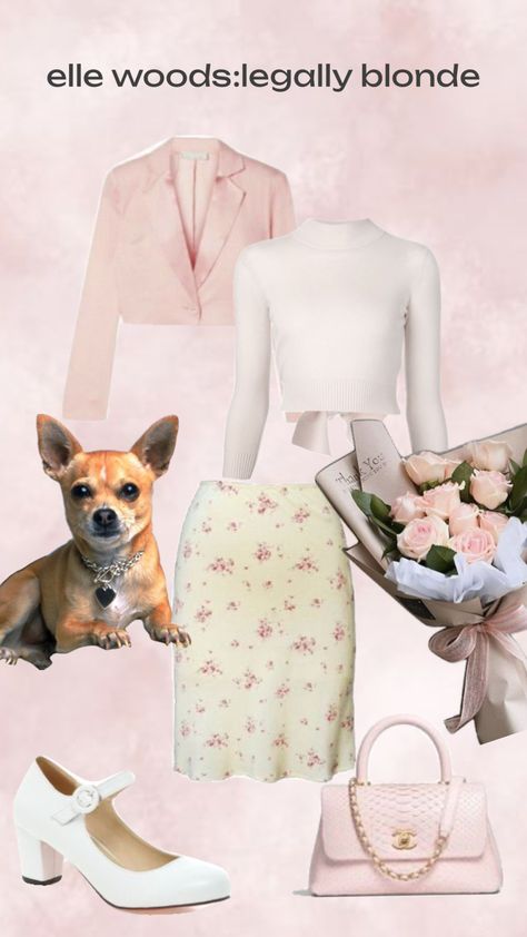 outfit based on elle woods from legally blonde #pink #blond #legallyblonde #lawyer #outfit #outfitinspo #vintage #vibes #movies Movie Fashion Inspiration, Blonde Outfits, Legally Blonde Outfits, Woods Outfit, Blonde Pink, Lawyer Outfit, Outfit Png, In And Out Movie, Elle Woods