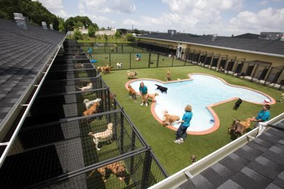 Dog Boarding Ideas, Dog Boarding Facility, Dog Boarding Kennels, Dog Kennel Designs, Kennel Ideas, Dog Hotel, Pet Paradise, Pet Resort, Pet Hotel