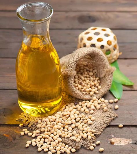 8 Amazing Benefits and Uses Of Soybean Oil Soybean Oil Benefits, Dragon Fruit Benefits, Banana Drinks, Soy Oil, Refined Oil, Soy Products, Food Security, Flaxseed Oil, Honey And Cinnamon