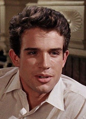 Warren Beatty, Fictional Men, Hubba Hubba, White Boys, Classic Hollywood, Celebrities Male, Golden Age, Old Hollywood, Movie Stars