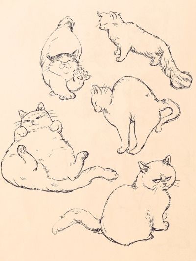 Bev Johnson, Cat Anatomy, Arte 8 Bits, Söt Katt, Cat Sketch, Cats Art, Arte Sketchbook, Sketchbook Art, Animal Sketches