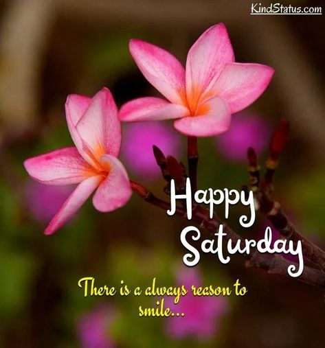 Saturday Good Morning Images, Good Morning Saturday Wishes, Saturday Good Morning, Happy Saturday Pictures, Good Morning Saturday Images, Happy Saturday Quotes, Saturday Morning Quotes, Happy Saturday Morning, Happy Saturday Images