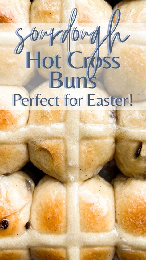 These fluffy homemade hot cross buns are the perfect sourdough bread recipe for Easter! They are lightly spiced, sweet, filled with plump raisins, and made with sourdough starter. Sourdough Hot Cross Buns are decorated with a cross to symbolize the crucifixion of Jesus Christ, making them perfect for a traditional Easter celebration. Sourdough Easter Rolls, Sourdough Hot Cross Buns Easy, Sourdough Bread Rabbit, Sourdough Discard Hot Cross Buns, Sourdough Easter Desserts, Easter Sourdough Bread, Easter Sourdough, Sourdough Hot Cross Buns, Hot Cross Buns Recipe Easy