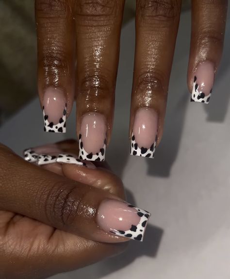 Cow Print Toe Nails, Nail Inspo Cow Print, Beginner Nail Designs, Cow Print Nails, Black Gel Nails, 2023 Nail, Cow Nails, Acrylic Nail Powder, Diy Acrylic Nails