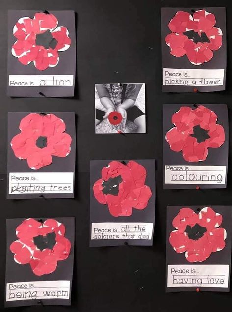 Remembrance Activities Eyfs, Preschool Poppy Craft, Easy Poppy Craft, Rememberance Day Kindergarten, Letter Provocations, Remembrance Day Crafts For Kindergarten, Kindergarten Remembrance Day Art, Remembrance Day Crafts For Preschoolers, Remembrance Day Preschool