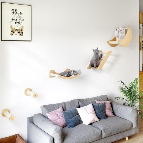 funny cats 😍 #cats #cat #cute Cat Climbing Shelves, Beige Cat, Cat Climber, Multiple Cats, Cat Wall Shelves, Wall Climbing, Cat Wall Furniture, Cat Tree Condo, Wall Furniture