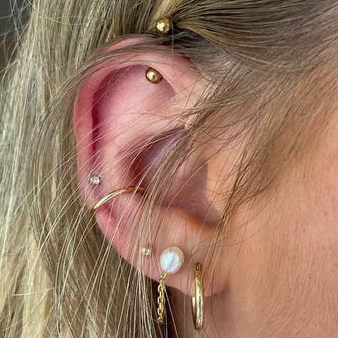 Gold Hoop Nose Ring, Conch Piercing Ring, Rose Gold Nose Ring, Ear Peircings, Conch Hoop, Pretty Ear Piercings, Cool Ear Piercings, Cute Ear Piercings, Cool Piercings