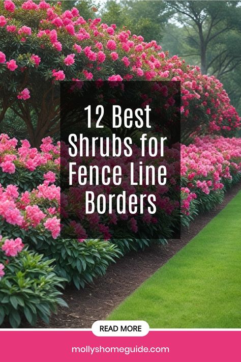 Discover the best shrubs for a privacy hedge along your fence line. Create a living fence with fast-growing bushes that provide both beauty and seclusion. Find the perfect plants to add privacy to your front yard or backyard while enhancing curb appeal. Explore evergreen trees and shrubs that make great living fences, offering year-round coverage and natural beauty. Say goodbye to traditional fences and opt for these beautiful shrubs that double as a living wall, adding privacy and charm to your Trees To Line Fence, Fence Shrubs Privacy Hedge, Cedar Hedges For Privacy, Good Privacy Trees, Backyard Plant Ideas Along Fence, Large Shrubs For Privacy, Best Plants For Privacy Screen, Hedge For Privacy Fence, Deer Resistant Privacy Hedge