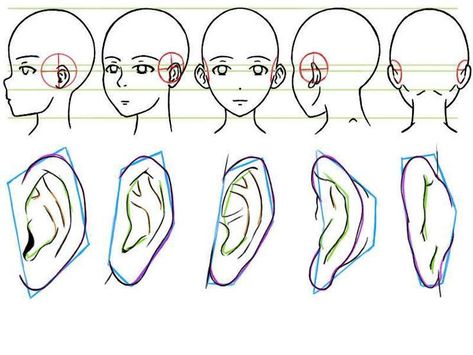 Ear Angle Reference, Ears At Different Angles, Ears From Different Angles, Ear Angles, Ear References, Draw Ear, Ears Reference, Drawing Ears, Ears Tutorial