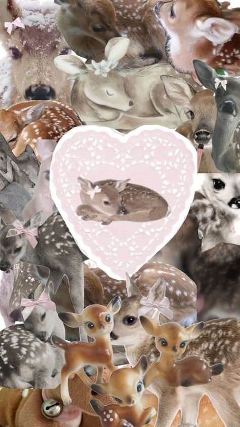 #deer #deeraesthetic #coquette #deerpretty #doecore Deers 🦌🎀 Deer Wallpaper, Baby Deer, Girl Falling, Create Collage, Creative Play, Bts Wallpaper, Warm And Cozy, Aesthetic Wallpapers, Reindeer